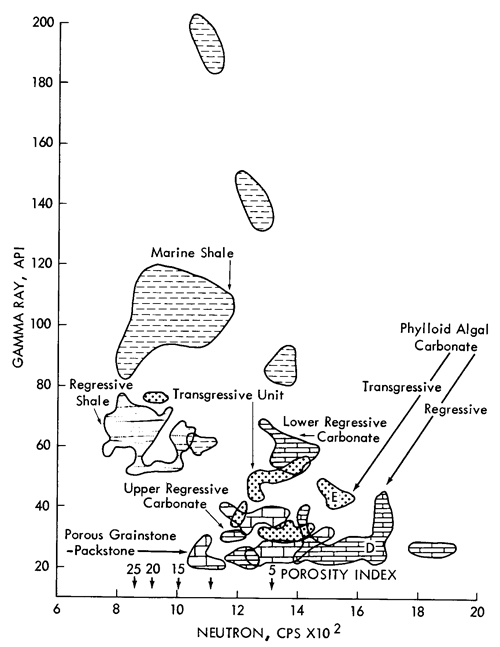 Regressive shale has lowest neutron, average gamma ray; Upper regressive carbonates have lowest gamma ray and average neutron; Marine shale have low to average neutron and high gamma ray; Lower Regressive Carbonate slightly higher in gamma ray and neutron than Upper.