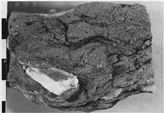 Black and white photo of core piece.