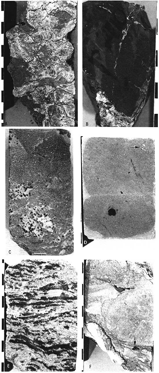 Black and white photos of core pieces.