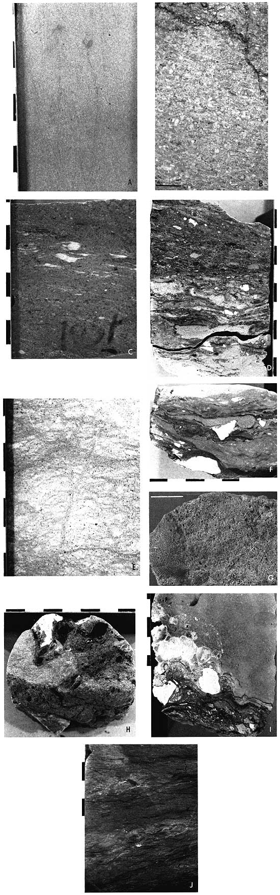 Black and white photos of core pieces.