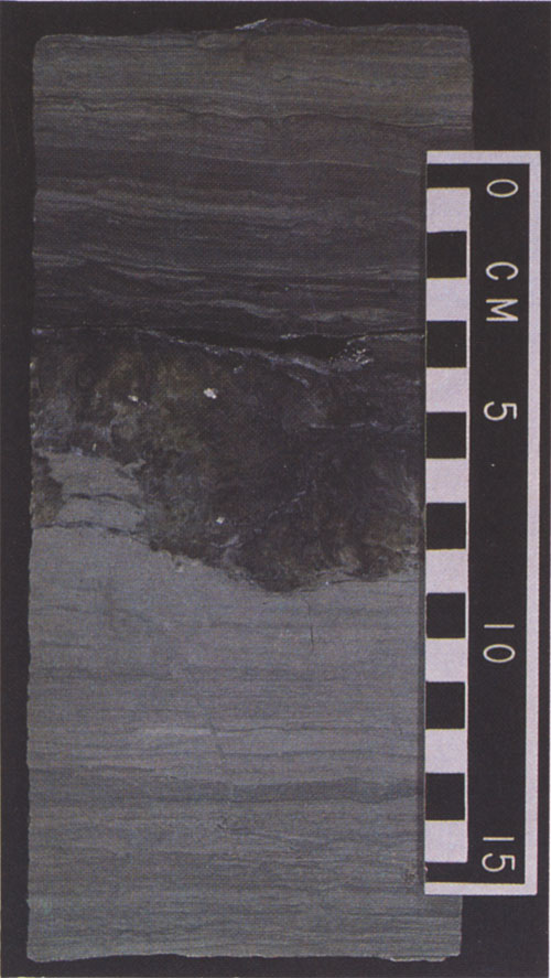 Color photo of core slab.