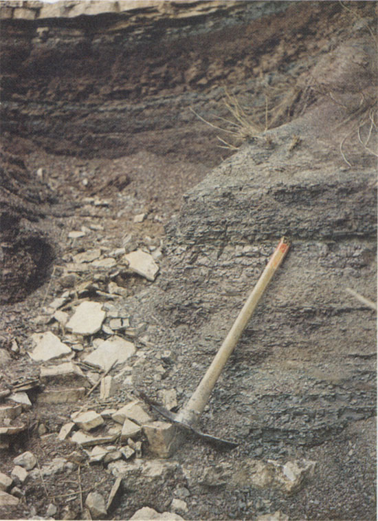 Color photo of outcrop, pick for scale.
