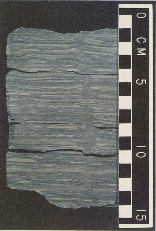 Color photo of core slab.