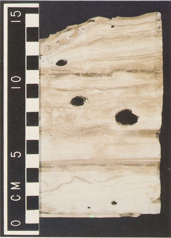 Color photo of core slab.