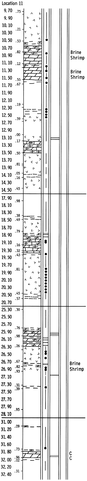 Rock column of drill location 11