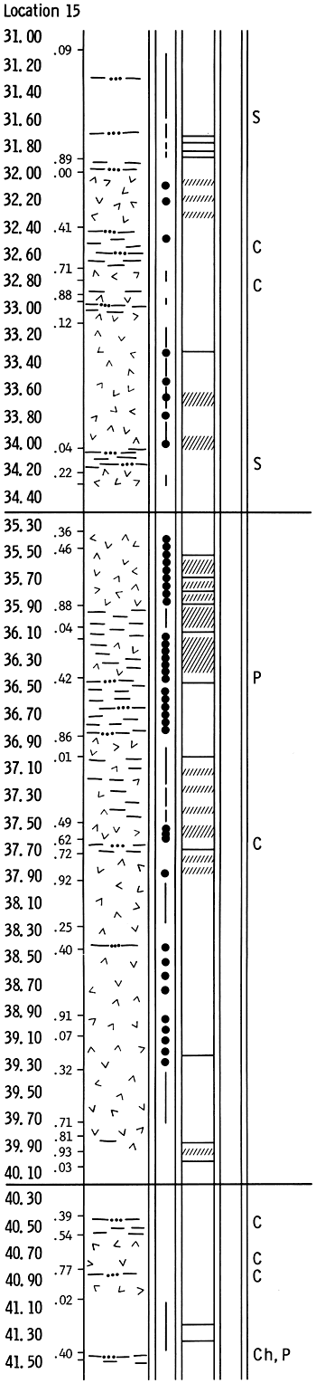 Rock column of drill location 15