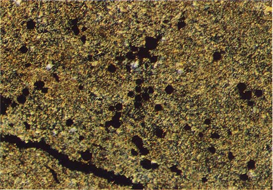 Color photo of rock sample from drill hole.