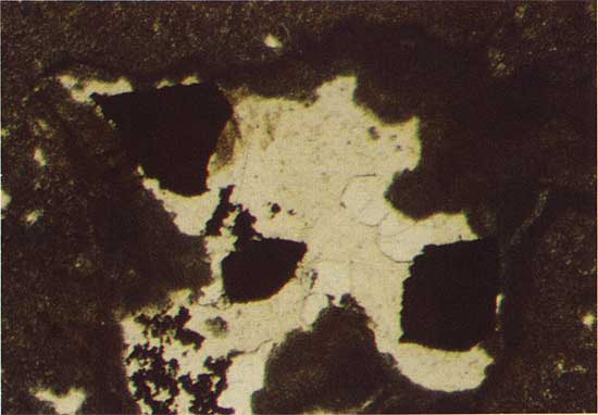 Color photo of black copper sulfide grains and light colored large quartz grains.