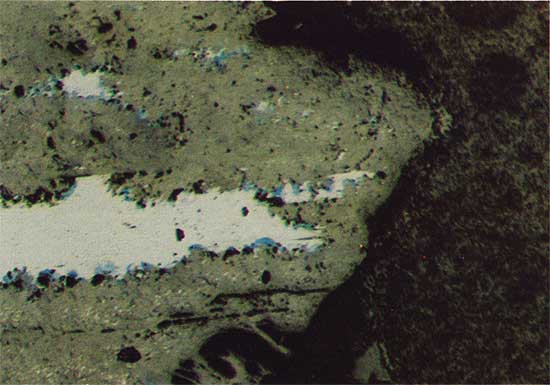 Color photo of light blur mineral withing gray matrix, some dark blur material is replacing the light blue.