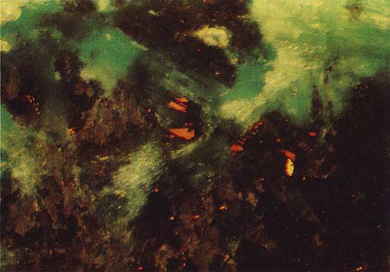 Color photo of brown matrix surrounding green mineral with some spots of orange.