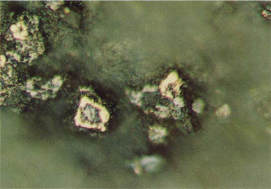 Color photo of blue-green mineral replacing lighter (yellow-white) material.