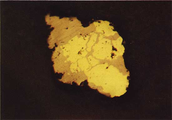 Color photo of dark matrix, inside of it is bright yellow material surrounded by darker yellow-brown material.