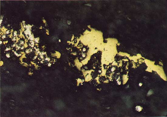 Color photo of dark green matrix, inside of it is light yellow material that contains some smaller white grains.