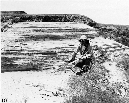 Black and white photo of well-laminated outcrop, Smoky Hill Member.