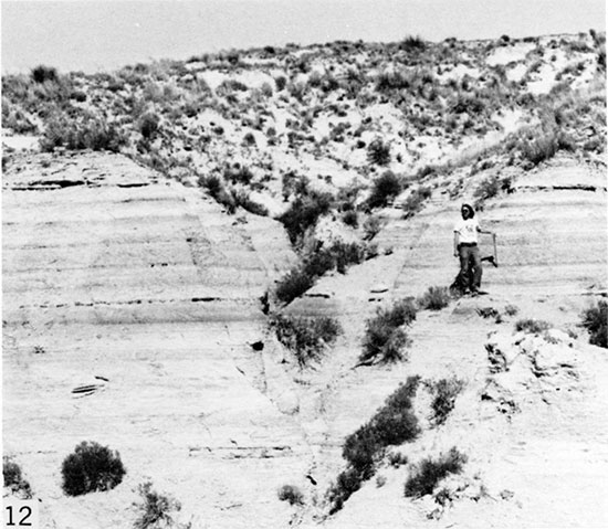 Black and white photo of rhythmically stratified alternations of lighter-colored, granular chalk and darker-colored, crinkly chalk.