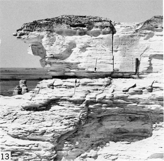Black and white photo of highly weathered, massive-looking chalk, Gove County.