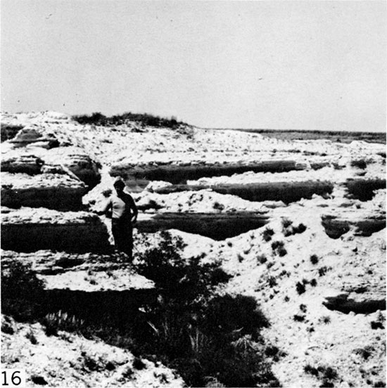 Black and white photo of ledge-forming beds of bioturbated chalk, Trego County.