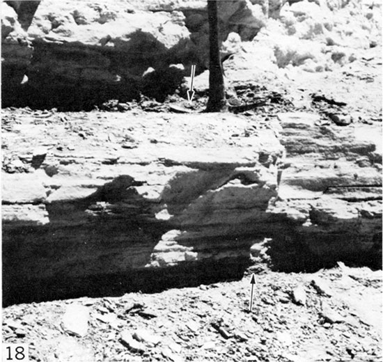 Black and white photo of bentonite seams separated by weathered chalk, Logan County.