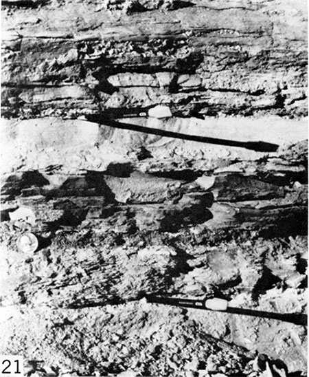 Black and white photo of Marker Unit 1 with bentonite seams, Trego County.