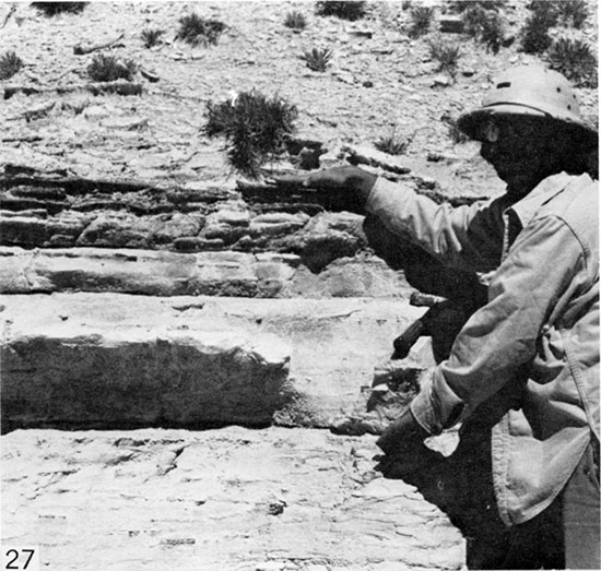 Black and white photo of four bentonite seams and intervening chalk beds that comprise Marker Unit 11.