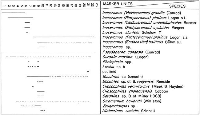 List of fossils and association with the 23 Marker Units.
