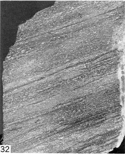 Black and white photo of polished surface of well-laminated chalk, Gove County.