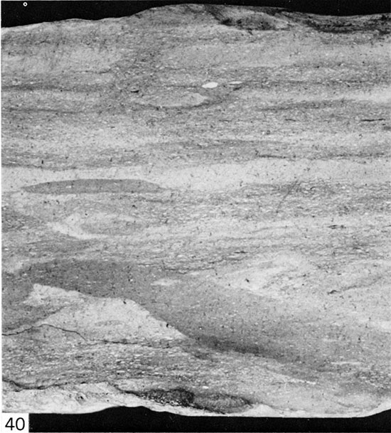 Black and white photo of bioturbated chalk, Gove County.