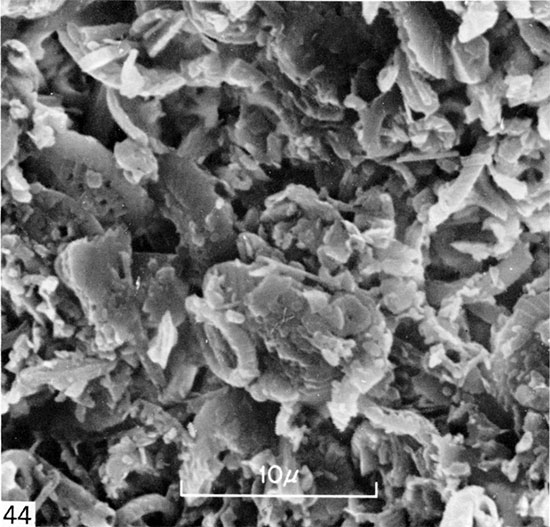 Black and white micrograph of matrix in sample of bioturbated chalk, Gove County.