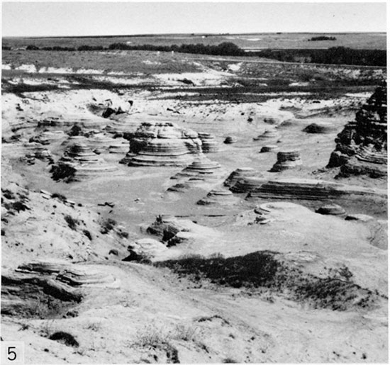 Black and white photo of exposure of Smoky Hill chalk at Goblin Hollow.