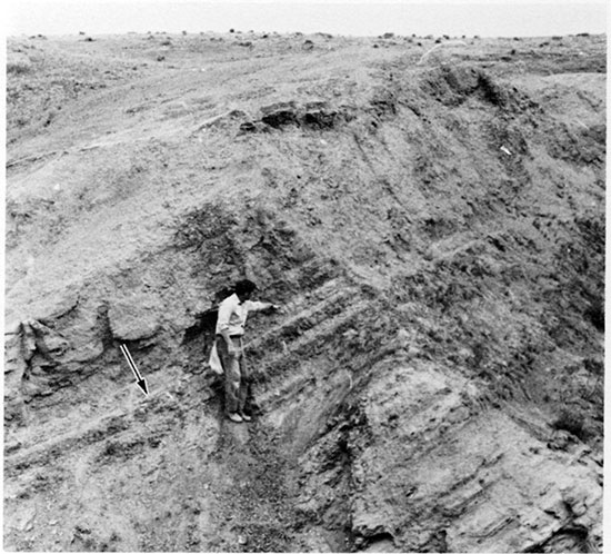 Black and white photo of uppermost part of Smoky Hill Member and lowermost part of Pierre Shale.