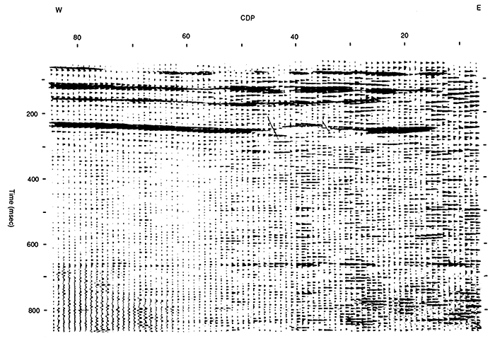 Seismic-reflection record sections for west-east profile along I-70 that traverses area between Witt sink and Crawford sink.