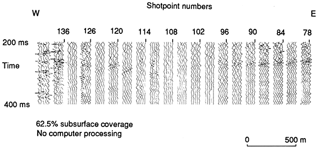 Dynamite seismic-reflection data from May 1979.