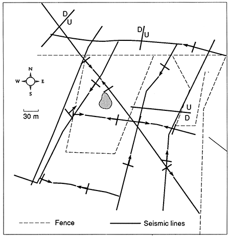 Faults and flexures plotted for Nielson sinkhole area.