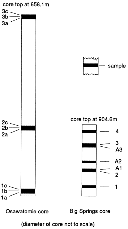 Schematics of two cores, showing where samples were taken.