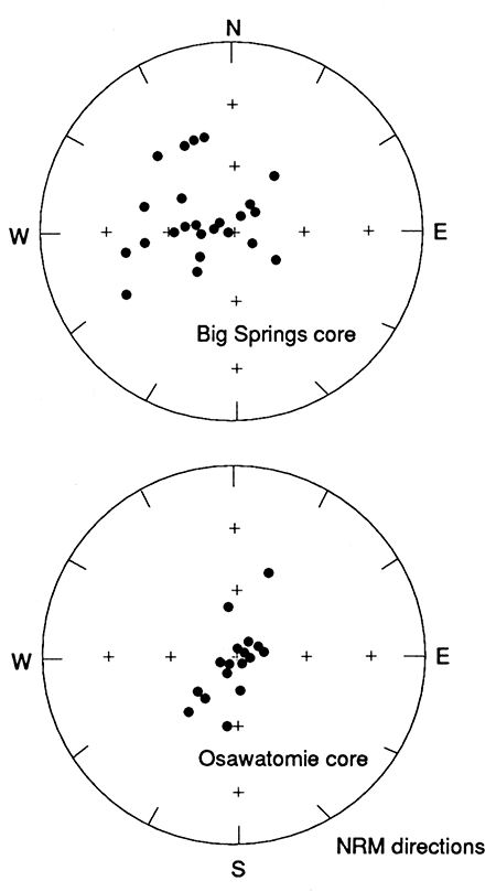 Two polar charts showing NRM directions for the two cores.