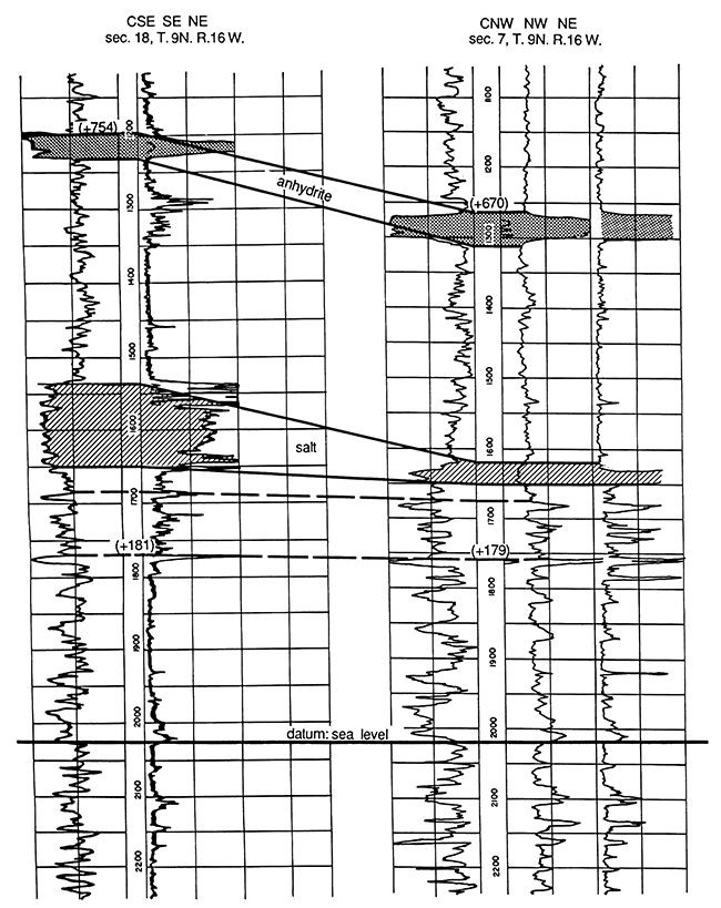 Synthetic seismograms.
