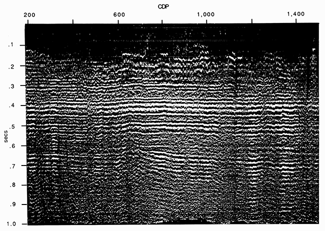 Rice County processed seismic section.