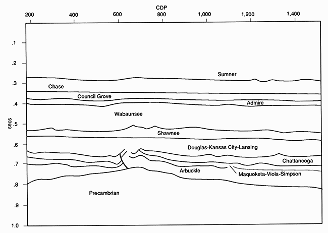 Line drawing of Rice County seismic section.