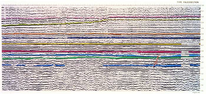 Final stack seismic section.