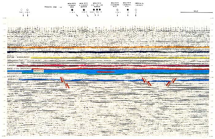 Lexington field paleosection.