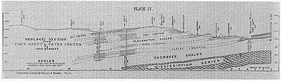 cross section published in volume 1