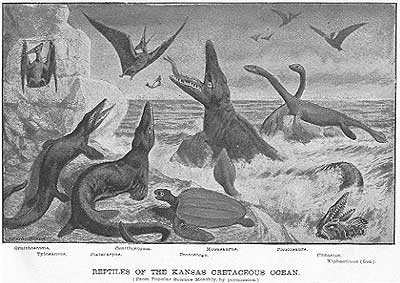 black and white drawing of Cretaceous ocean with mosasaurus, pleisaurs, Xiphactinus and other animals in action