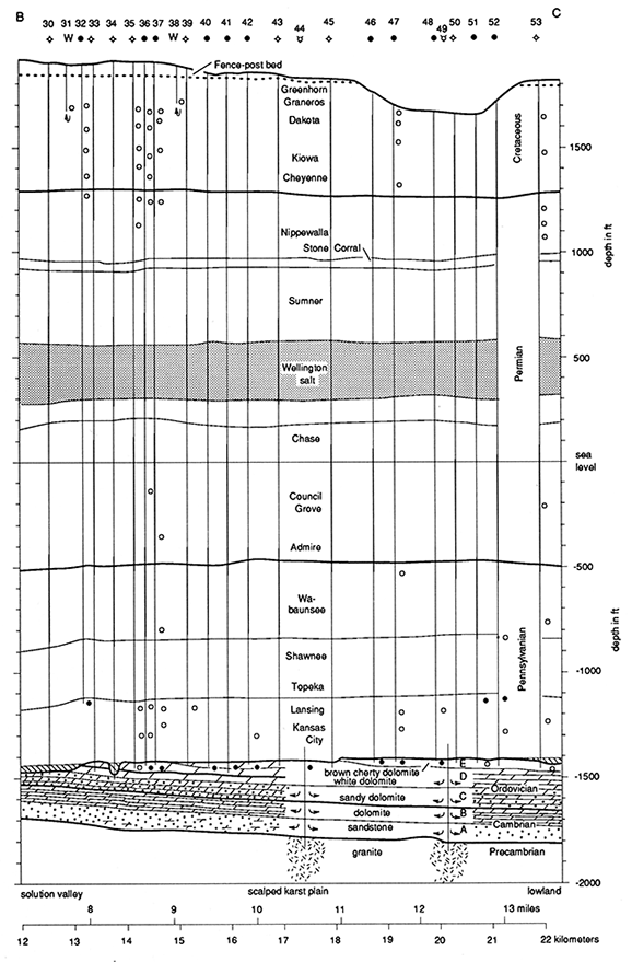 Cross section in eastern half of field.