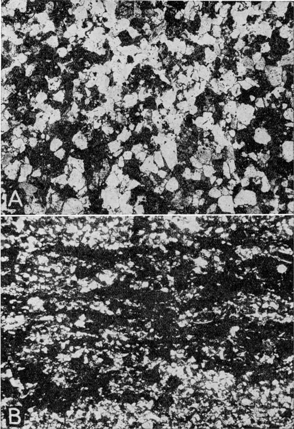 Black and white photomicrographs of shoestring sands.