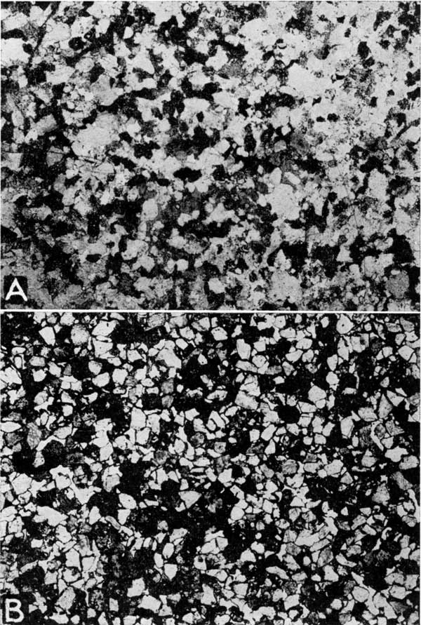 Black and white photomicrographs of shoestring sands.