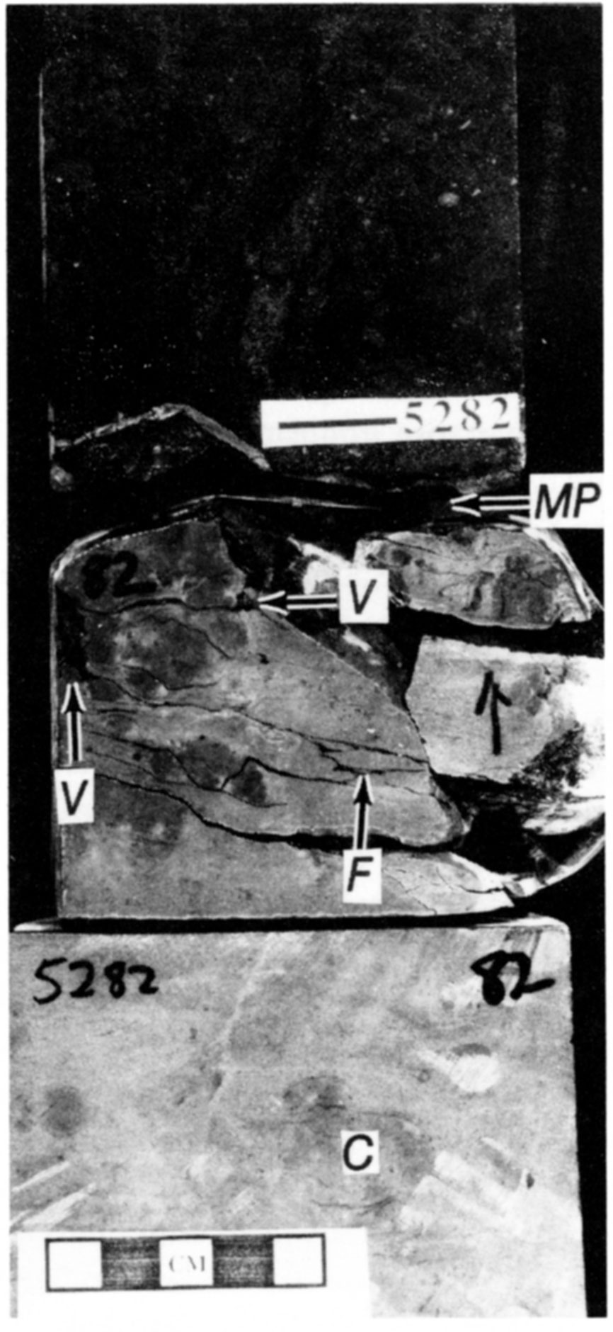 Mississippian-Pennsylvanian Unconformity (MP) at 5,282.05-ft core depth in the Shore Airport type section.