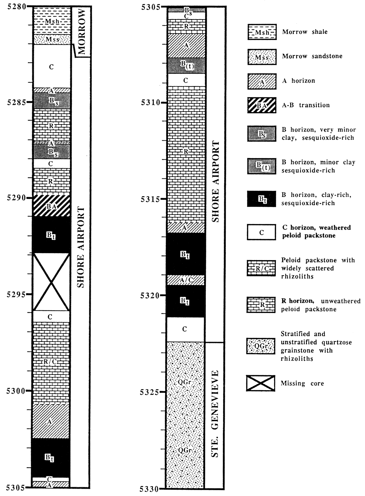 Soil horizons in the type section of the Shore Airport Formation.