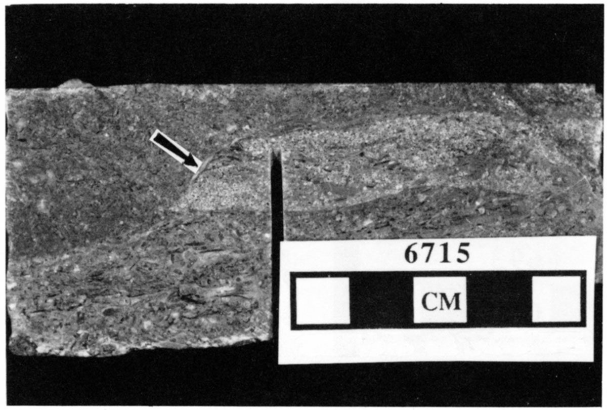 Two hardgrounds in skeletal and oolitic, mud-poor packstones from the Stevens Member in the Mobil #1 Foster.