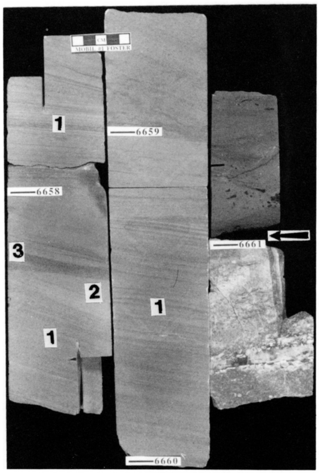 Quartzose grainstone from the Ste. Genevieve in the Mobil #1 Foster.