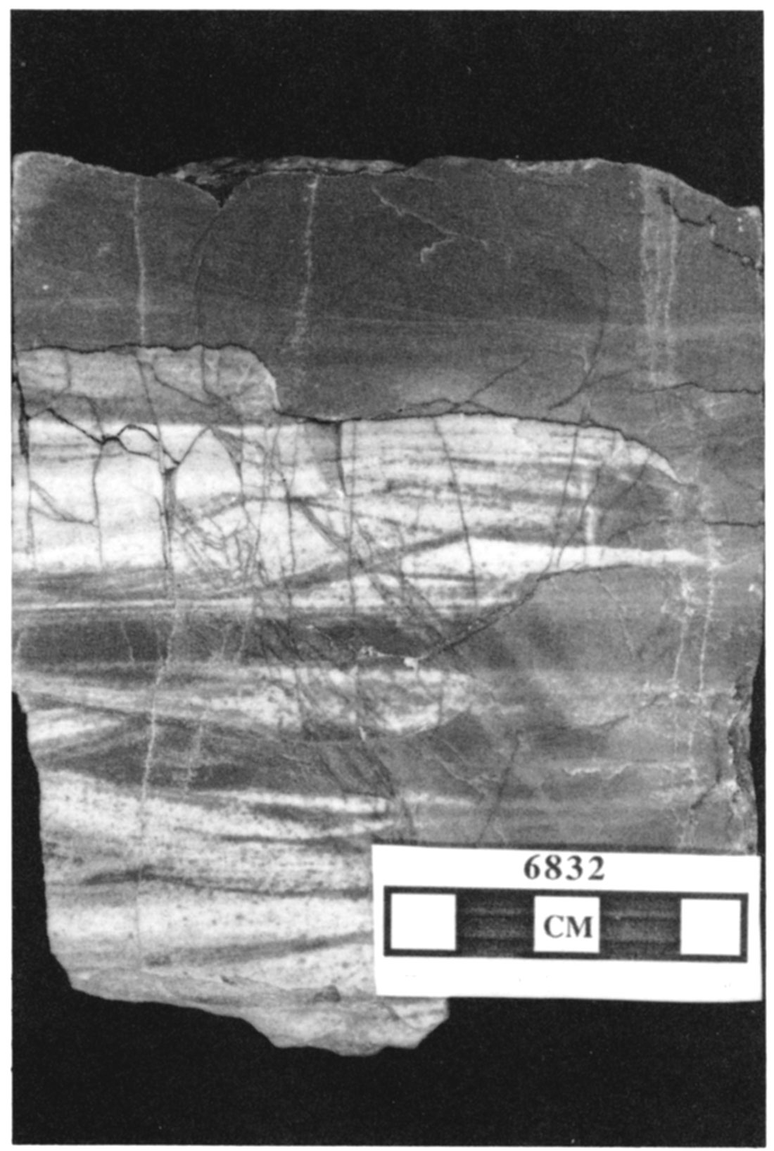 Peloid grainstone/packstone facies from the Hugoton Member in the Mobil #1 Foster.